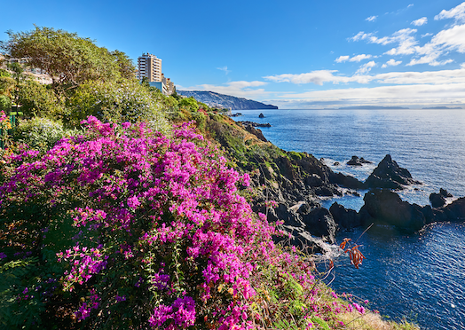 Madeira