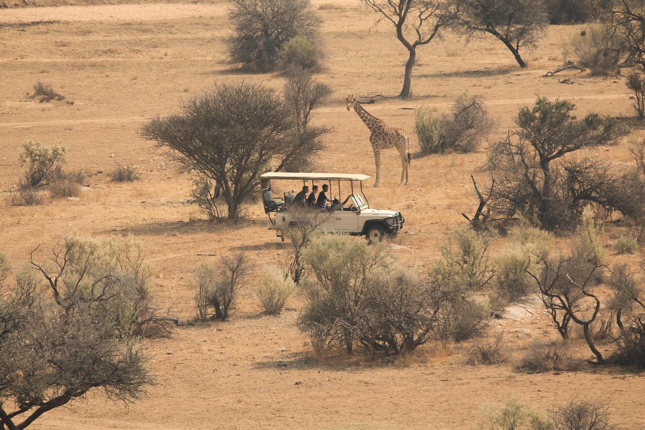 Big Five in Zuid Afrika